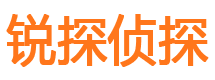 尼木市侦探调查公司